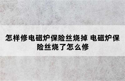 怎样修电磁炉保险丝烧掉 电磁炉保险丝烧了怎么修